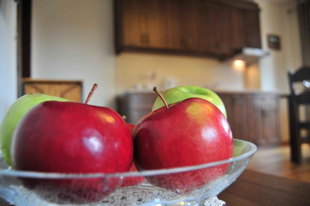 Willa Misiaga Apartamenty Murzasichle Cameră foto